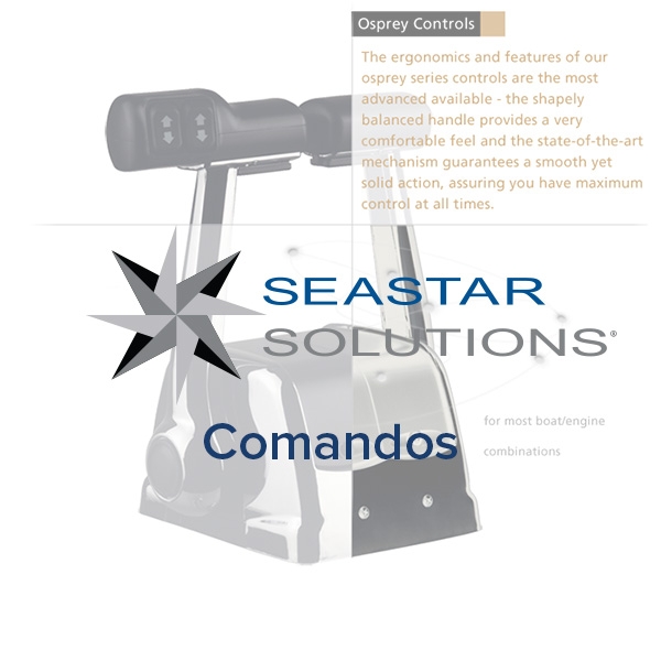 CAJA CONTROL  2 PALANCA CROMADA C/TRIM - Imagen 2